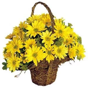 Солнечный день